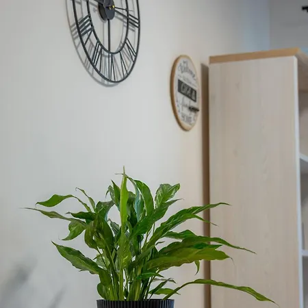 Vip Apartamenty Wieniawskiego Rzeszów Exteriér fotografie